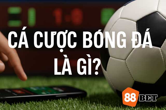 Cá cược bóng đá là gì? Giải thích dễ hiểu cho người mới
